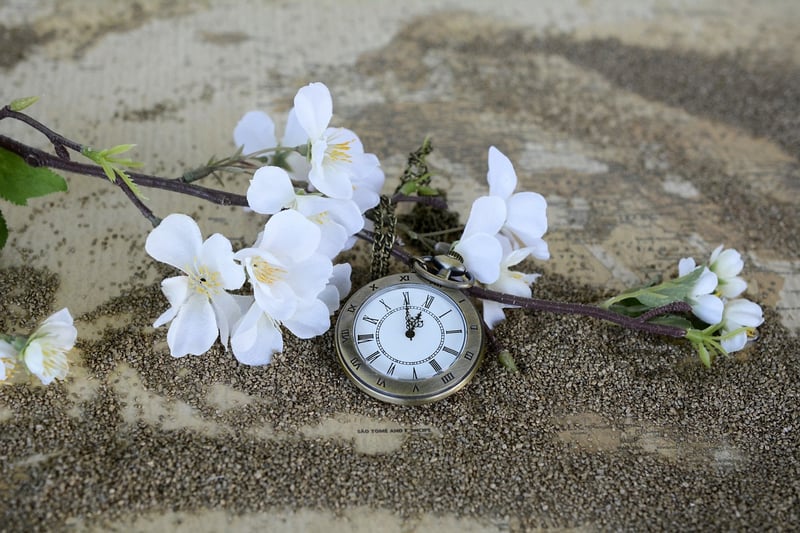 Time Loops